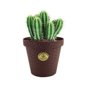 MACETA TIPO RATTAN REDONDA D12 LA ARDILLA | utilísimo®