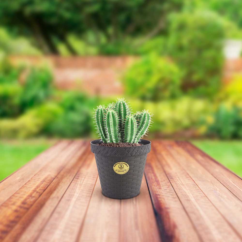 MACETA TIPO RATTAN REDONDA D12 LA ARDILLA | utilísimo® - Imagen 8
