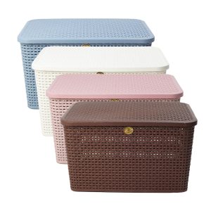 Canasta Rattan Mediana con Tapa | Utilisimo®