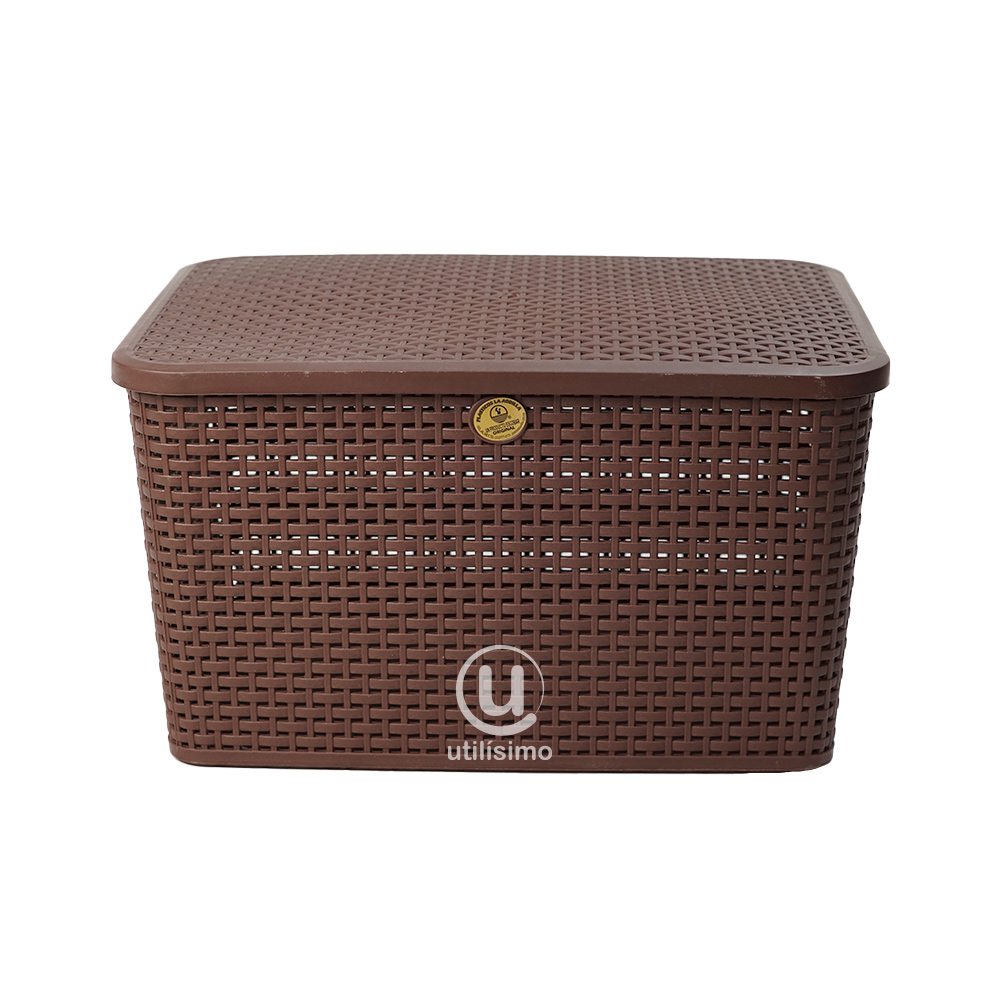Canasta Rattan Mediana con Tapa | Utilisimo® - Imagen 6