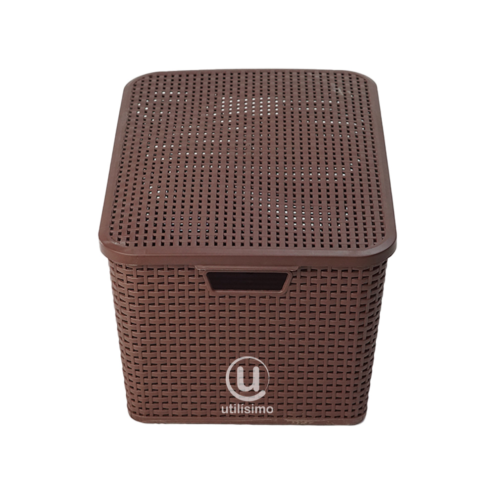 Canasta Rattan Mediana con Tapa | Utilisimo® - Imagen 7