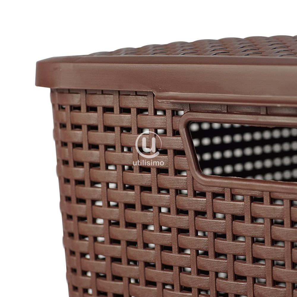 Canasta Rattan Mediana con Tapa | Utilisimo® - Imagen 5