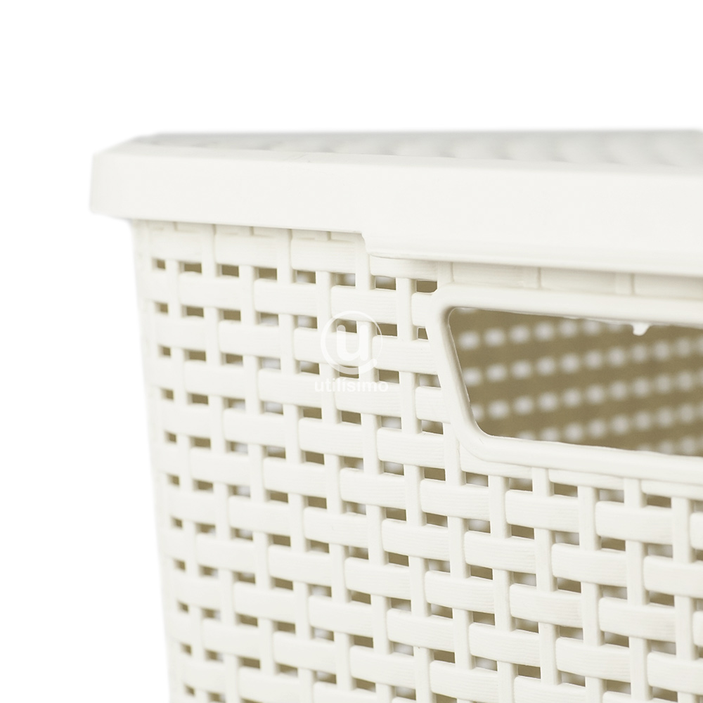 Canasta Rattan Mediana con Tapa | Utilisimo® - Imagen 12