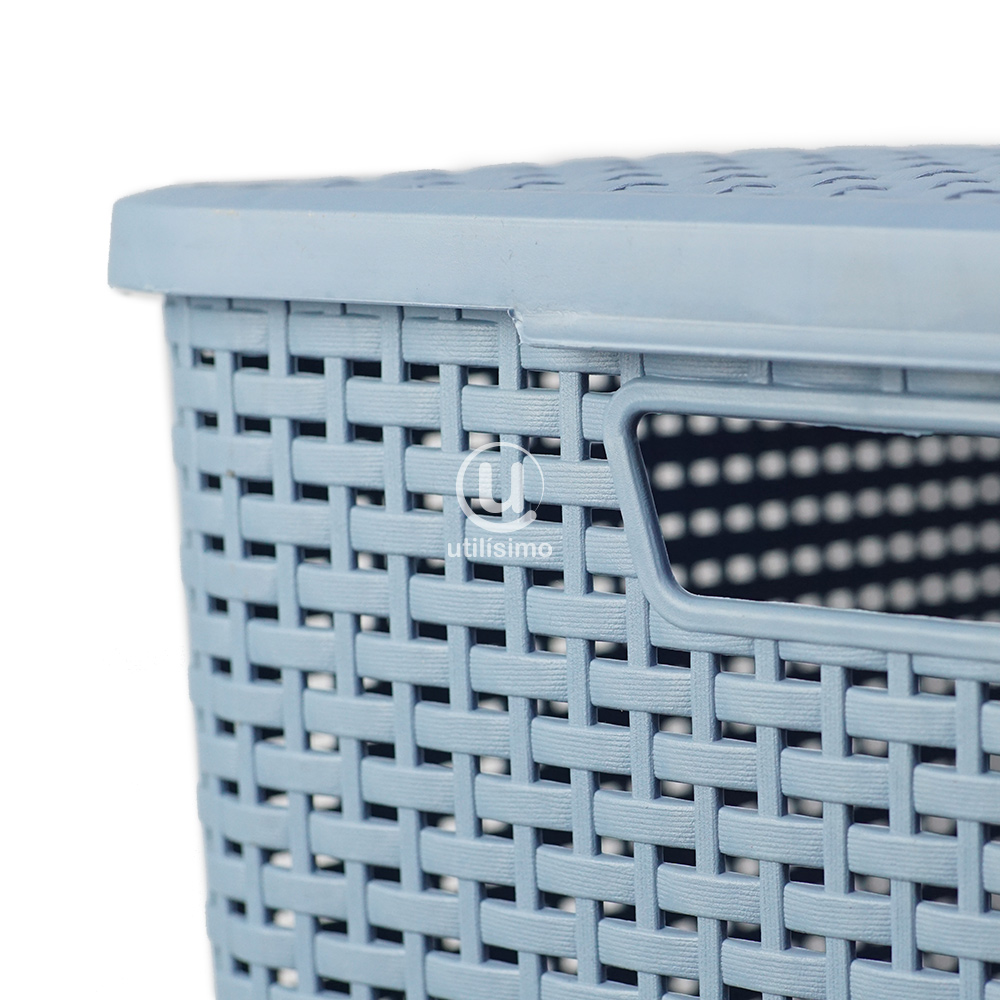 Canasta Rattan Mediana con Tapa | Utilisimo® - Imagen 8