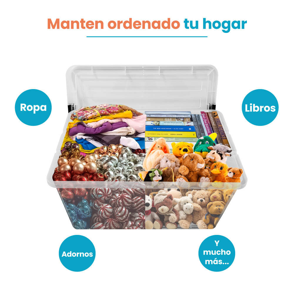 Caja Organizadora 42L Transparente Tapa Broches - Imagen 6