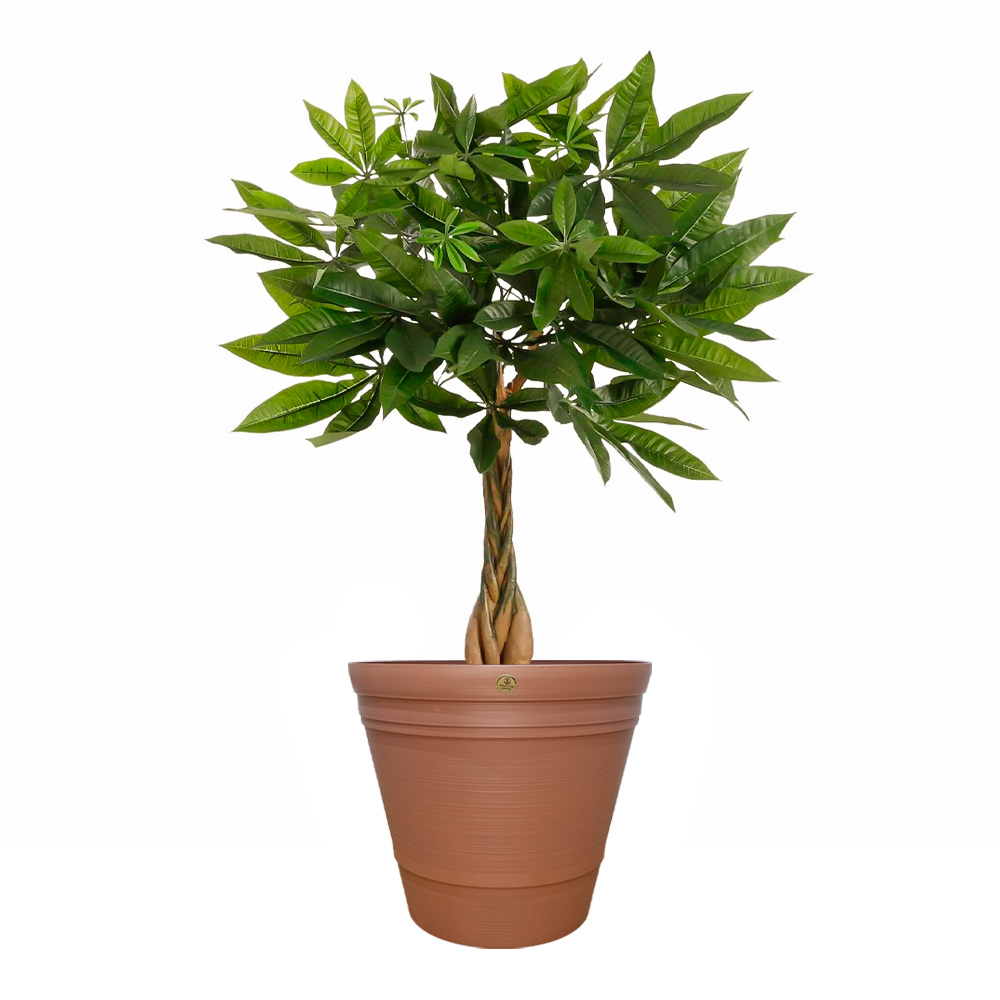 Maceta para Interiores y Exteriores 70 Litros | Utilísimo® - Imagen 2