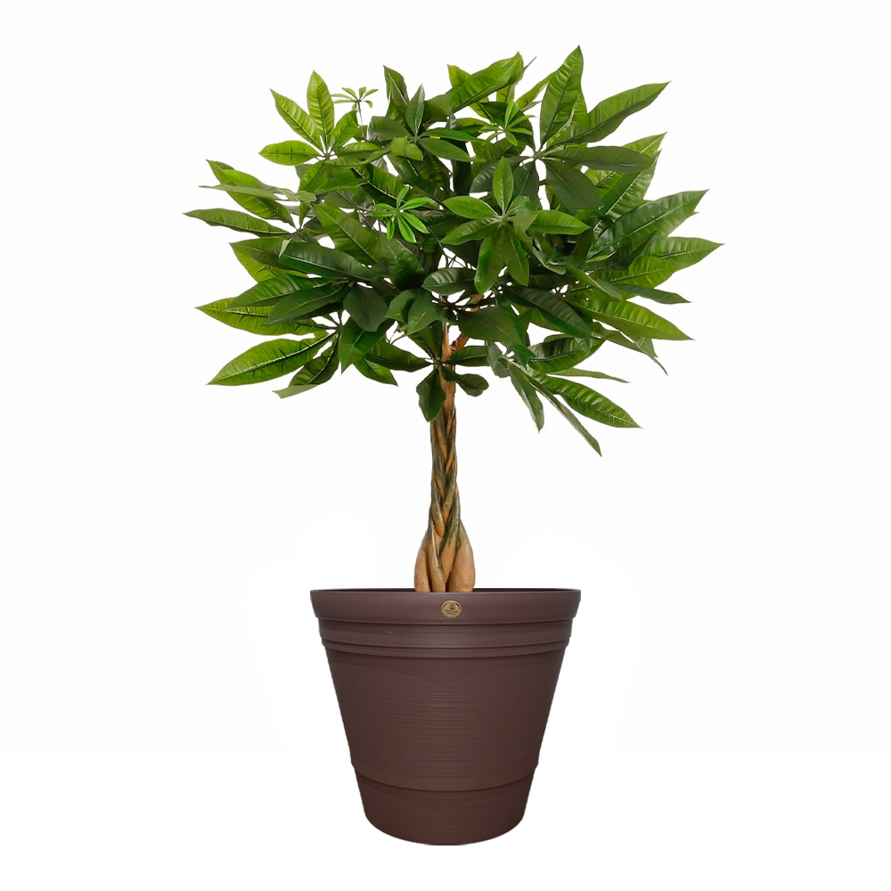 Maceta para Interiores y Exteriores 70 Litros | Utilísimo® - Imagen 3