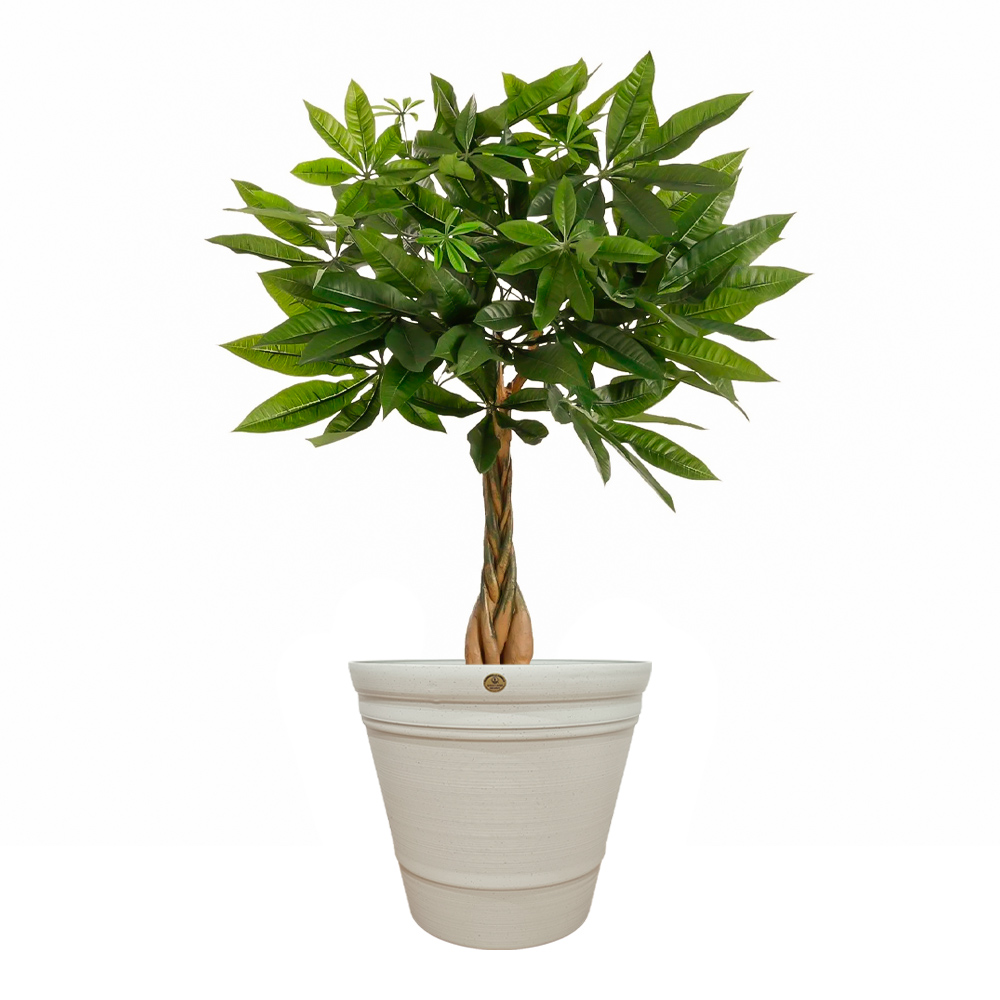 Maceta para Interiores y Exteriores 70 Litros | Utilísimo® - Imagen 4