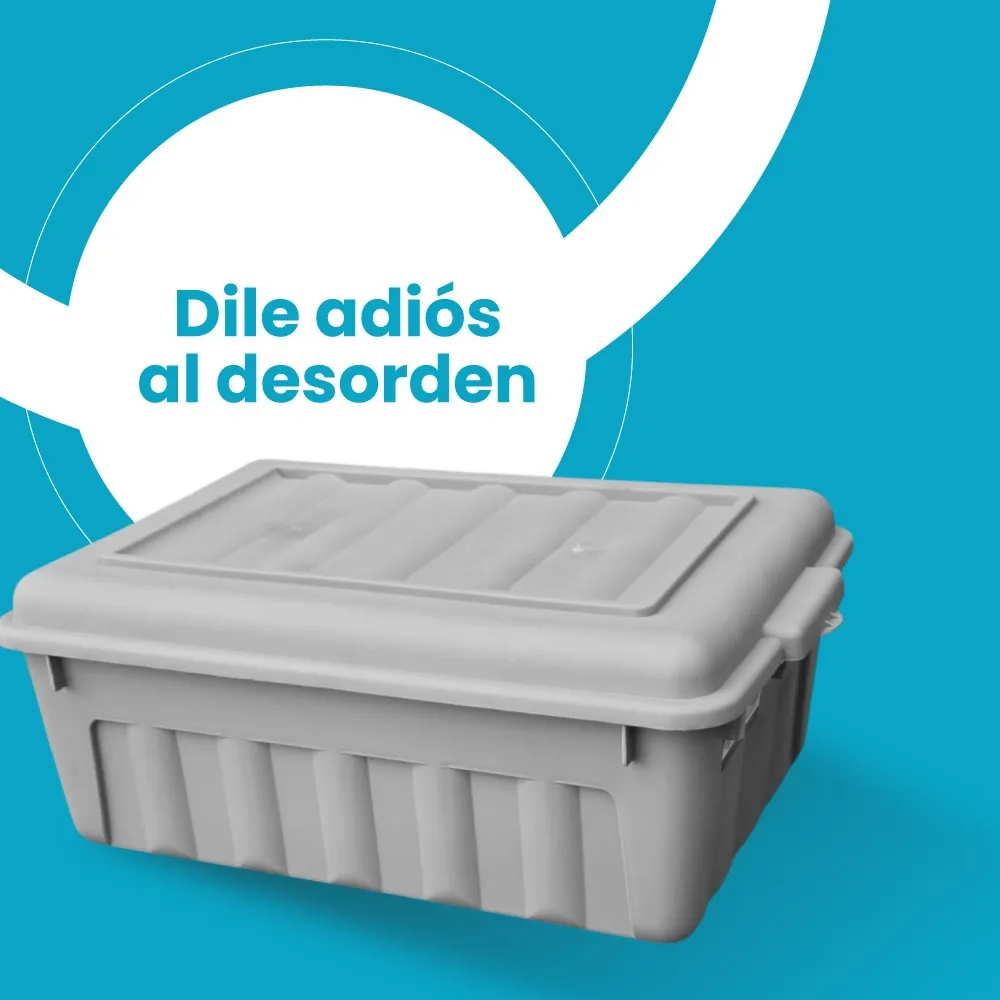 Caja organizadora con tapa Mod. Forza 13 litros - Imagen 4