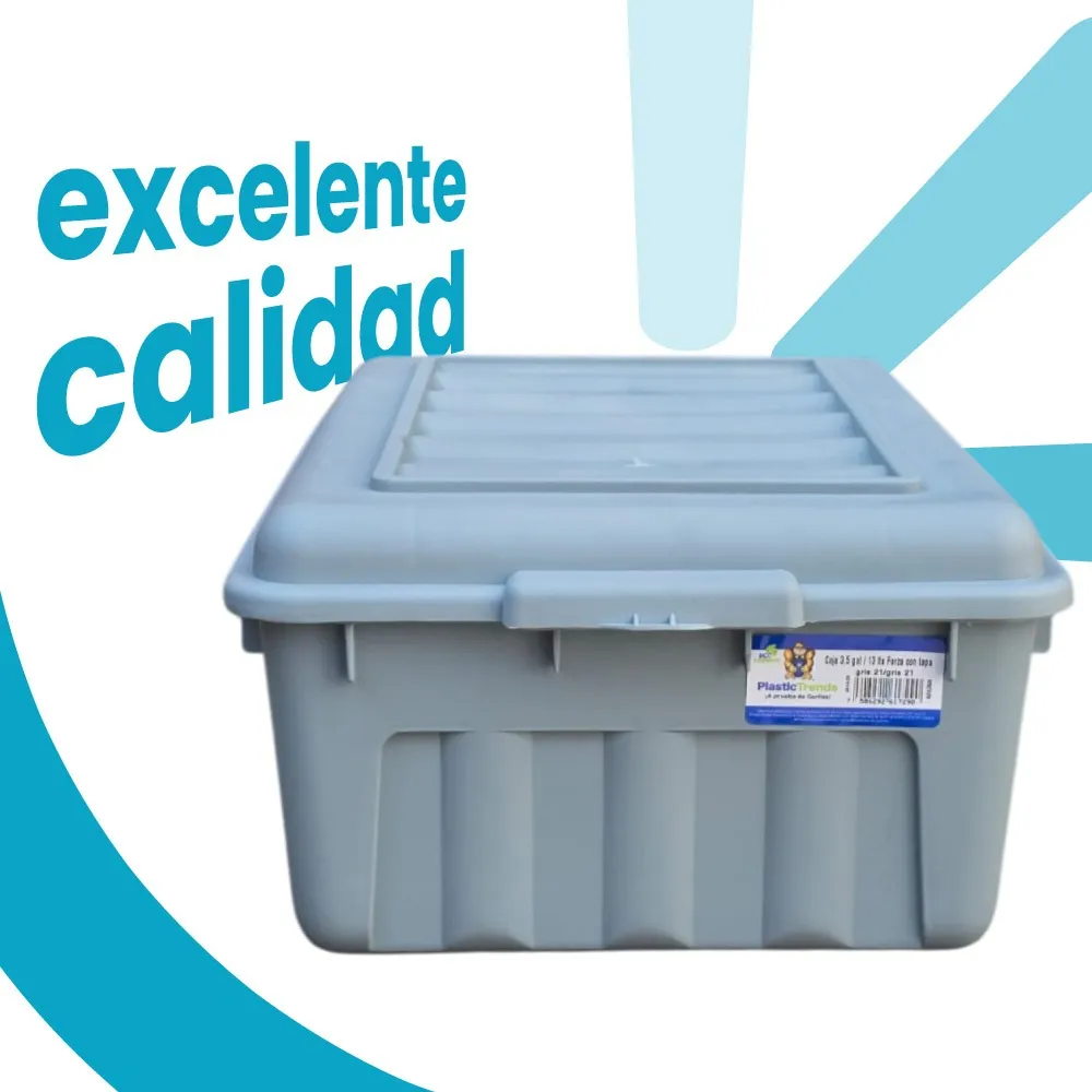 Caja organizadora con tapa Mod. Forza 13 litros - Imagen 6