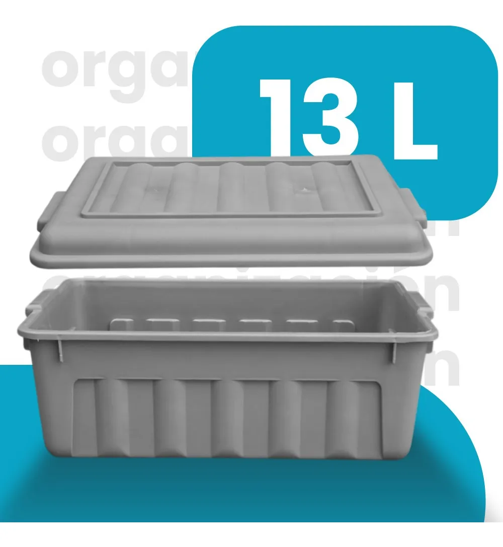 Caja organizadora con tapa Mod. Forza 13 litros - Imagen 8