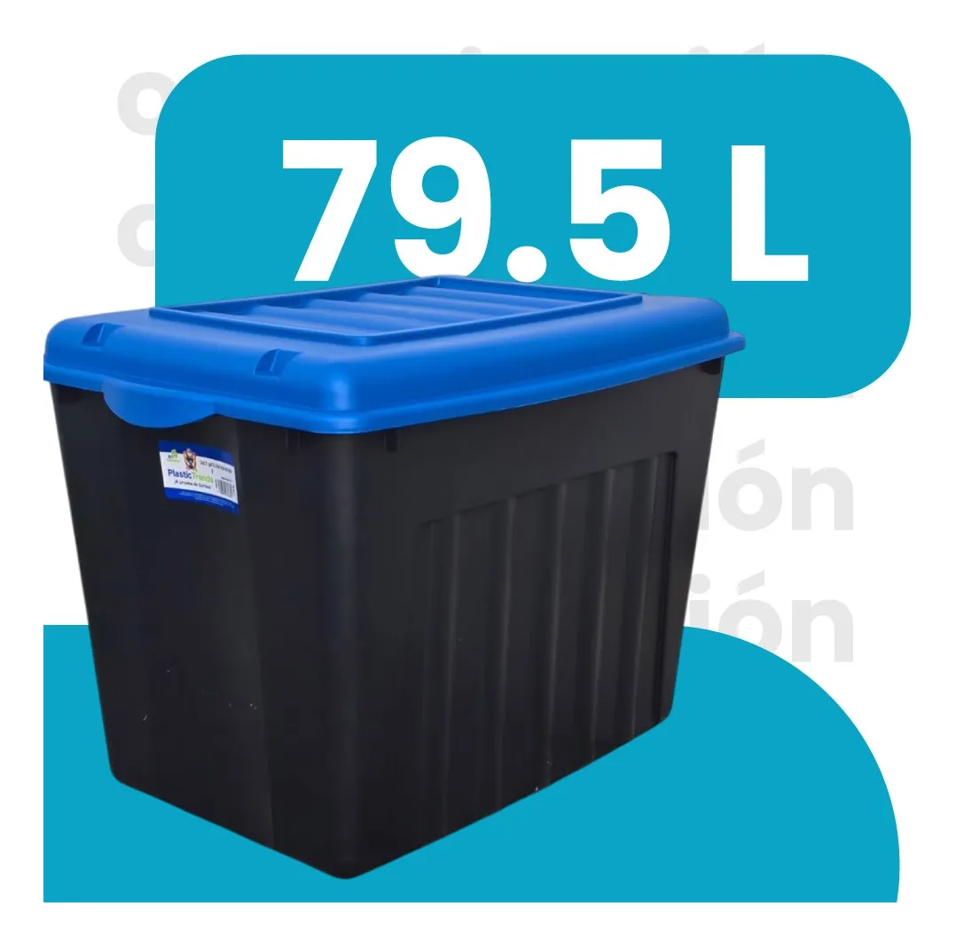 Caja organizadora con tapa Mod. Forza 79.5 litros - Imagen 9