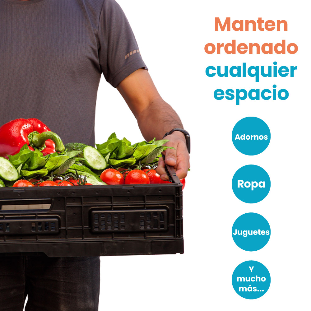Caja de almacenamiento plegable - Imagen 2