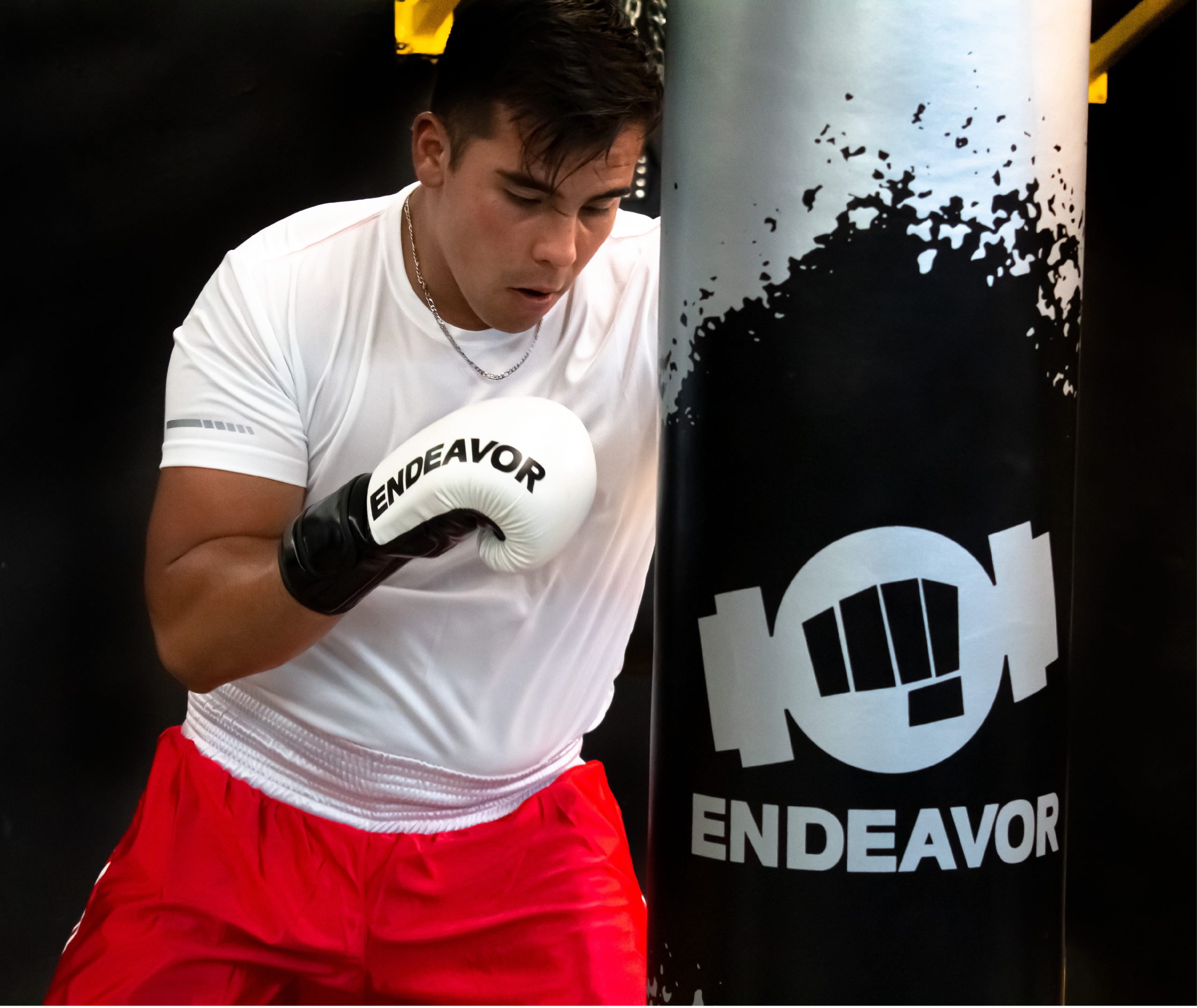 Costal de piso boxeo MMA - ENDEAVOR - Imagen 9