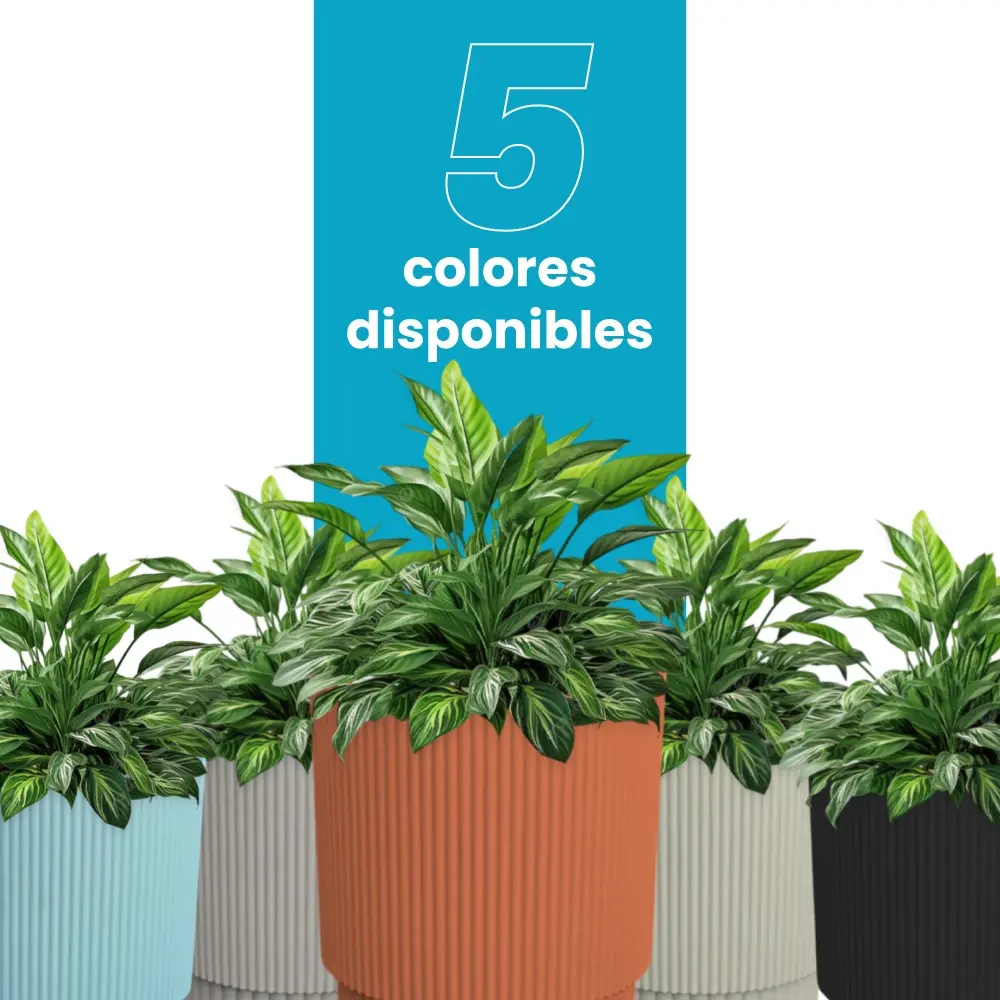 Maceta Plástico Altomonte 5 Litros Auto-riego - Imagen 6